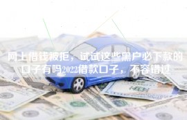 网上借钱被拒，试试这些黑户必下款的口子有吗2022借款口子，不容错过