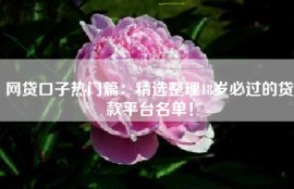 网贷口子热门篇：精选整理18岁必过的贷款平台名单！