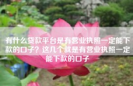 有什么贷款平台是有营业执照一定能下款的口子？这几个就是有营业执照一定能下款的口子
