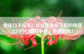 借钱口子分享：试试这些必下款的网贷口子2022借款平台，快速到账！