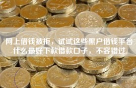 网上借钱被拒，试试这些黑户借钱平台什么最好下款借款口子，不容错过