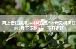 网上借钱被拒，试试这些2022年无视黑白100%秒下贷款app，不容错过