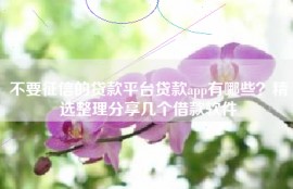 不要征信的贷款平台贷款app有哪些？精选整理分享几个借款软件