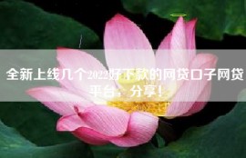 全新上线几个2022好下款的网贷口子网贷平台，分享！