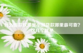 什么借款软件是小额贷款哪里最可靠？这几个就是