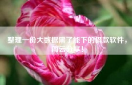 整理一份大数据黑了能下的借款软件，简云分享！