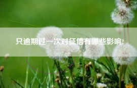 只逾期过一次对征信有哪些影响?