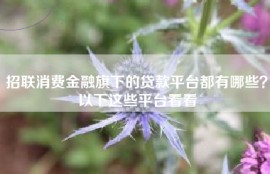 招联消费金融旗下的贷款平台都有哪些？以下这些平台看看