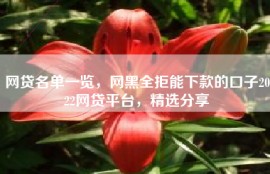 网贷名单一览，网黑全拒能下款的口子2022网贷平台，精选分享