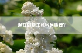 现在做啥生意容易赚钱？