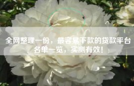 全网整理一份，最容易下款的贷款平台名单一览，实测有效！