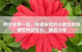 网贷名单一览，快速审批的小额贷款有哪些网贷平台，精选分享