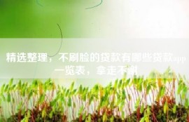 精选整理，不刷脸的贷款有哪些贷款app一览表，拿走不谢