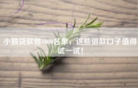 小额贷款借1000名单，这些借款口子值得试一试！