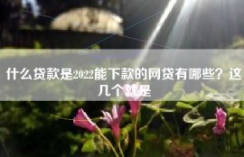 什么贷款是2022能下款的网贷有哪些？这几个就是