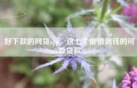 好下款的网贷app，这七个能借到钱的可靠贷款