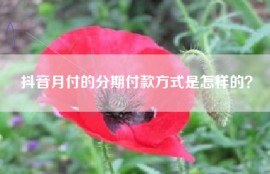 抖音月付的分期付款方式是怎样的？