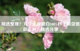 精选整理！几个无视黑白100%秒下网贷借款平台，精选分享