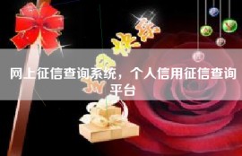 网上征信查询系统，个人信用征信查询平台