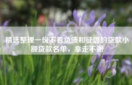 精选整理一份不看负债和征信的贷款小额贷款名单，拿走不谢