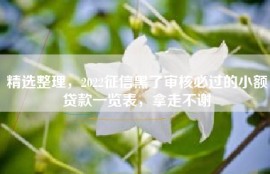 精选整理，2022征信黑了审核必过的小额贷款一览表，拿走不谢