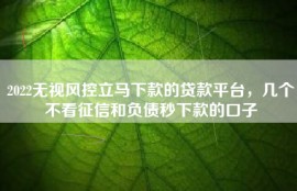 2022无视风控立马下款的贷款平台，几个不看征信和负债秒下款的口子