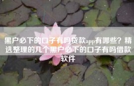 黑户必下的口子有吗贷款app有哪些？精选整理的几个黑户必下的口子有吗借款软件