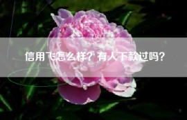 信用飞怎么样？有人下款过吗？