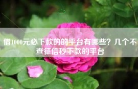 借1000元必下款的的平台有哪些？几个不查征信秒下款的平台
