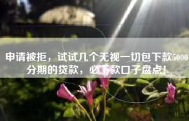 申请被拒，试试几个无视一切包下款5000分期的贷款，必下款口子盘点！