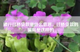 银行过桥贷款是什么意思，过桥贷款的骗局是这样的
