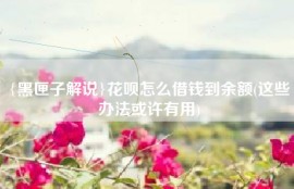 {黑匣子解说}花呗怎么借钱到余额(这些办法或许有用)