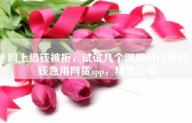 网上借钱被拒，试试几个哪里可以借到钱急用网贷app，精选分享