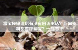 富宝袋申请后有没有回访电话？所需资料都有哪些呢？一起看下