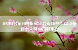 2022排名前10的贷款平台有哪些？盘点最新十大良心贷款平台