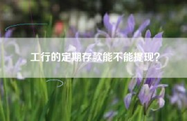 工行的定期存款能不能提现？