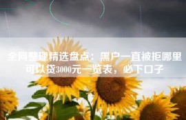 全网整理精选盘点：黑户一直被拒哪里可以贷3000元一览表，必下口子