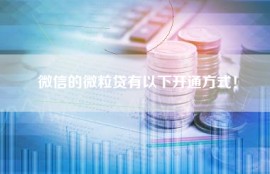 微信的微粒贷有以下开通方式！