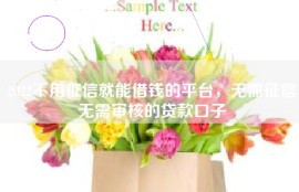 2022不用征信就能借钱的平台，无需征信无需审核的贷款口子