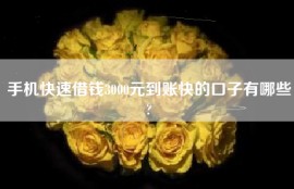 手机快速借钱3000元到账快的口子有哪些?
