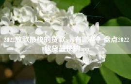 2022放款最快的贷款app有哪些？盘点2022放贷最快的app