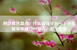 网贷精选盘点：什么借钱平台一下子就能审核通过一览表，必下名单