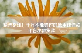 精选整理！千万不能错过的急用钱借款平台小额贷款