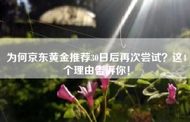 为何京东黄金推荐30日后再次尝试？这4个理由告诉你！