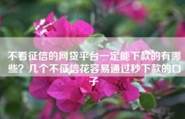 不看征信的网贷平台一定能下款的有哪些？几个不征信花容易通过秒下款的口子