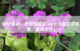 网贷盘点，急用钱借款5000元小额贷款名单，值得关注！