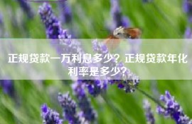 正规贷款一万利息多少？正规贷款年化利率是多少？