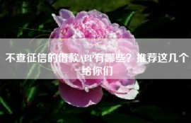 不查征信的借款APP有哪些？推荐这几个给你们