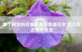 哪个网贷利息最低最可靠最安全 这几款正规又低息