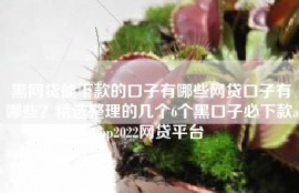 黑网贷能下款的口子有哪些网贷口子有哪些？精选整理的几个6个黑口子必下款app2022网贷平台